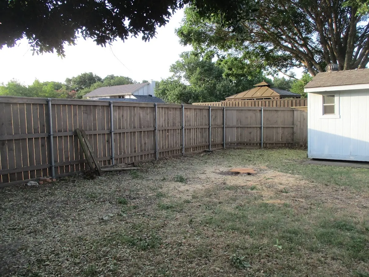 Cleared yard after professional tree removal in Bulger